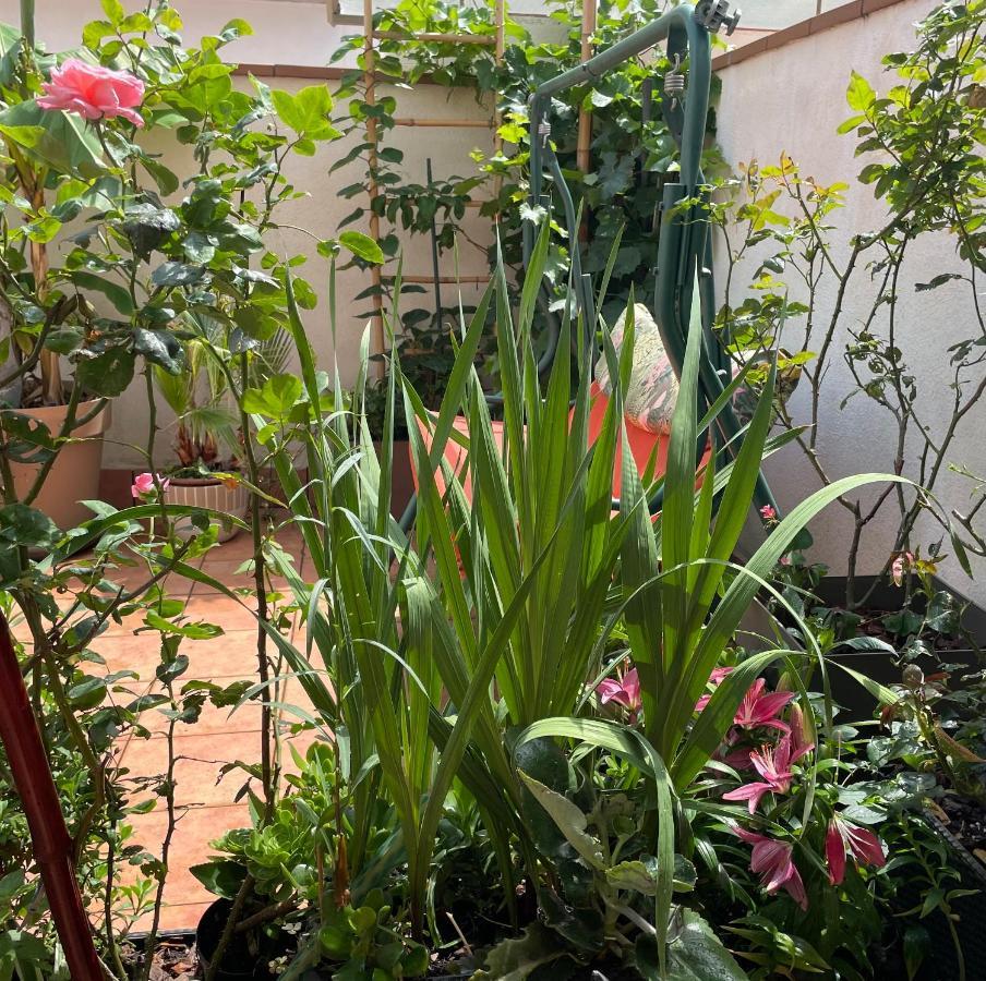 דירות Figueres Center מראה חיצוני תמונה