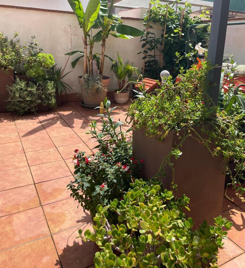 דירות Figueres Center מראה חיצוני תמונה