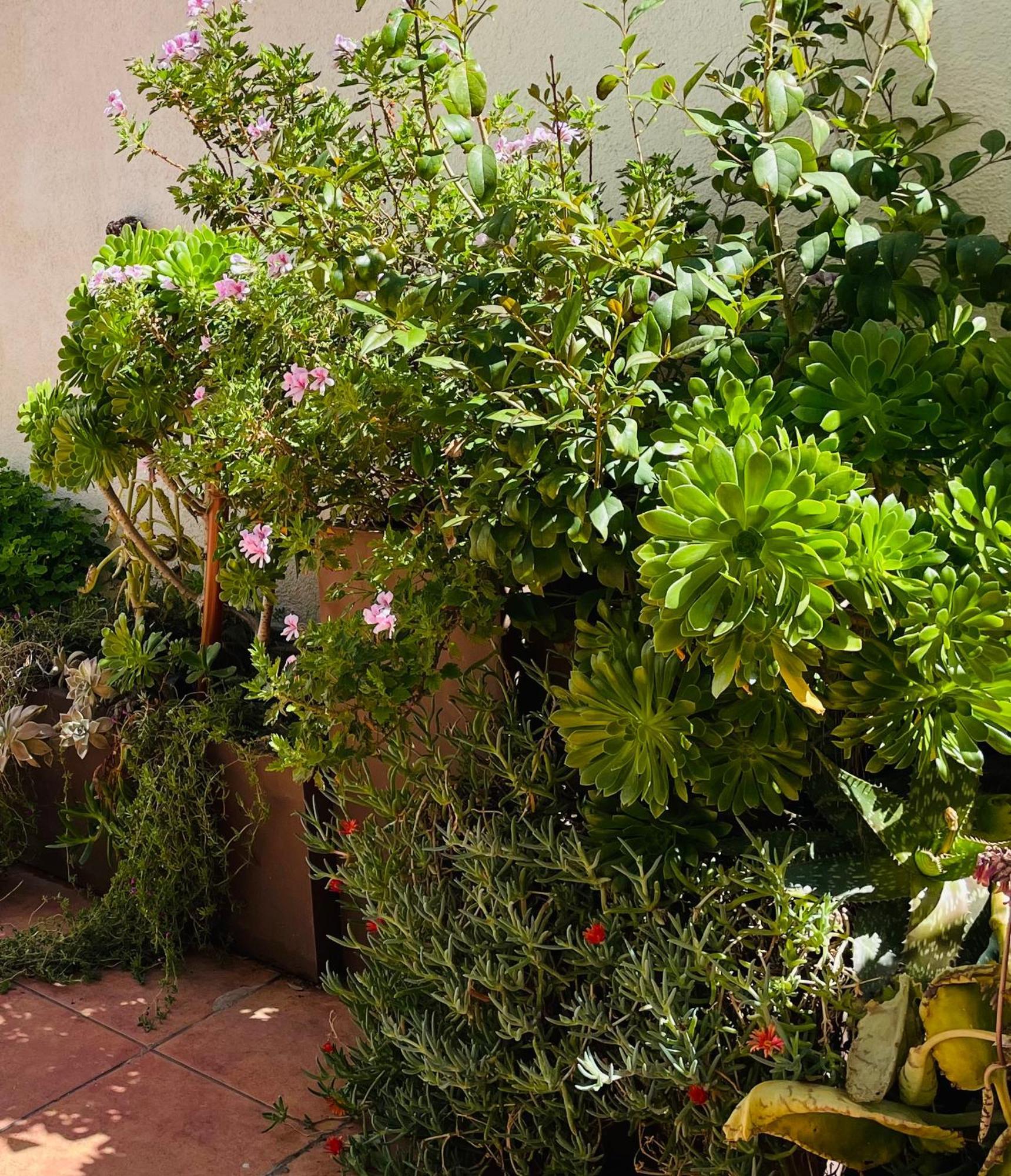 דירות Figueres Center מראה חיצוני תמונה